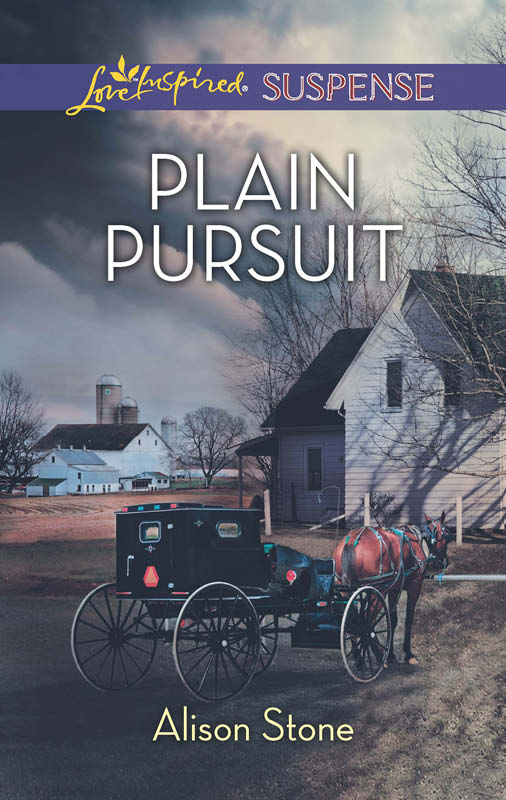 Plain Pursuit (2013) by Alison Stone