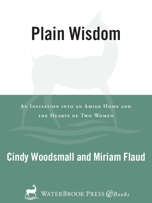 Plain Wisdom (2011) by Cindy Woodsmall