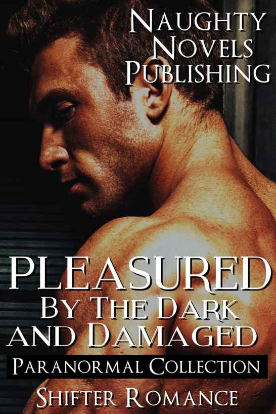 Pleasured By The Dark & Damaged by Naughty Novels Publishing