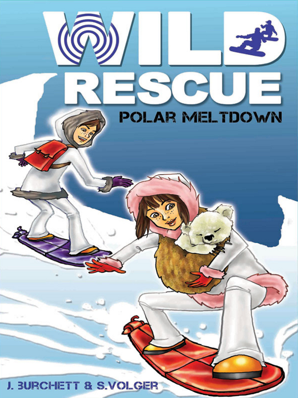 Polar Meltdown (2010) by J. Burchett