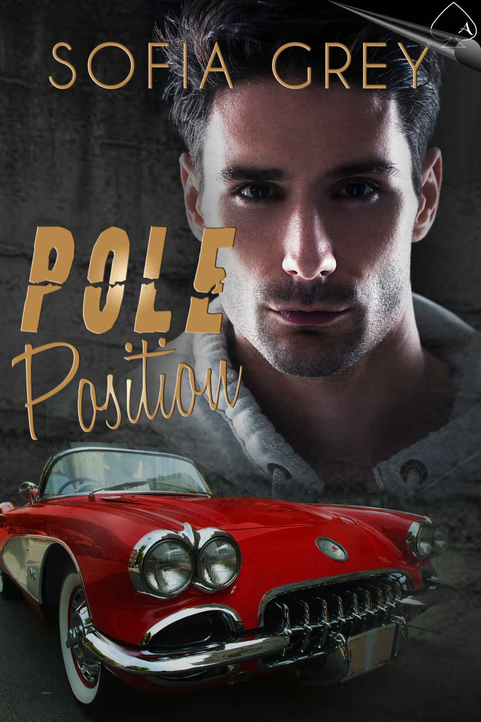 Pole Position by Sofia Grey