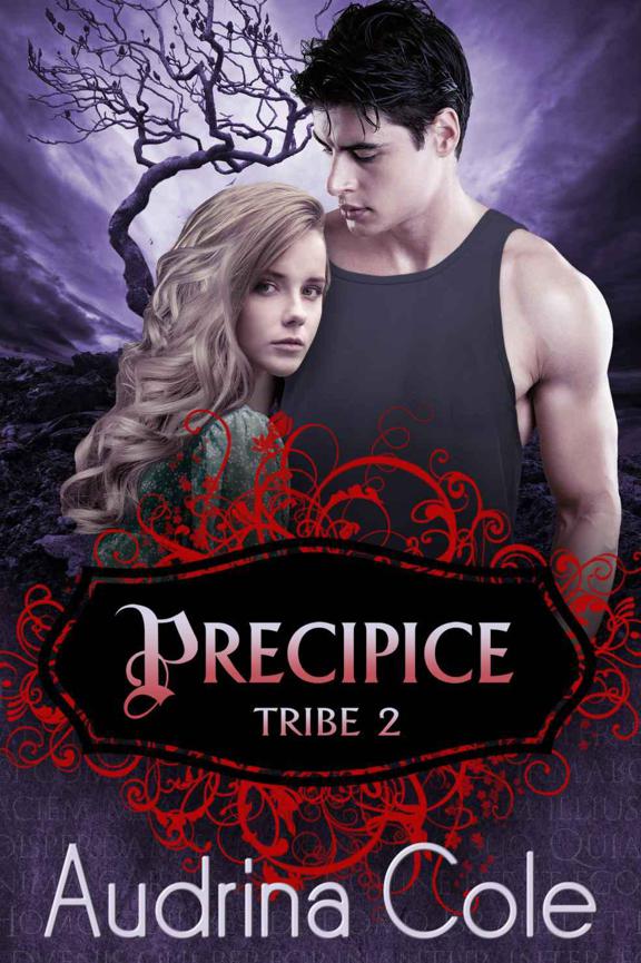 Precipice (Tribe 2) by Audrina Cole