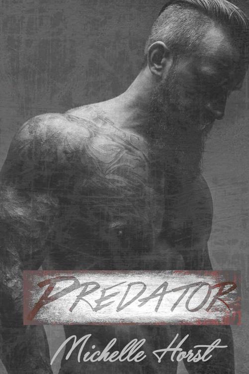 Predator - A Stand Alone Suspense Romance