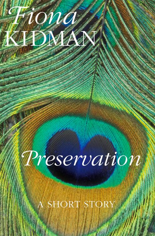 Preservation (2013)