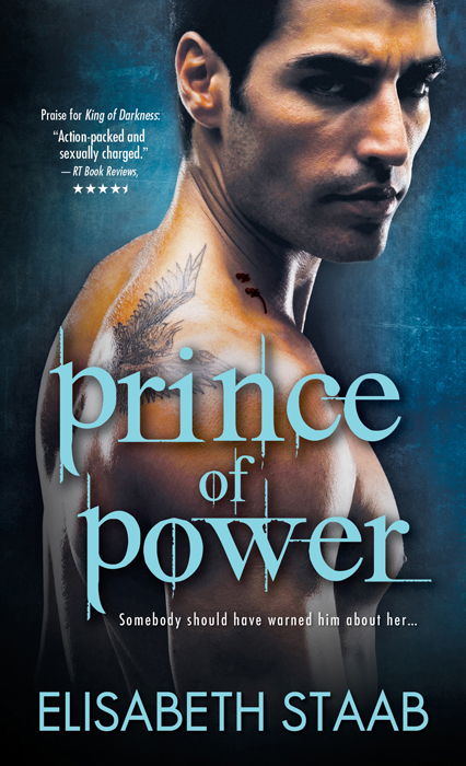 Prince of Power (2012) by Elisabeth Staab