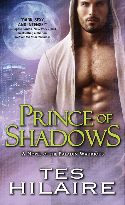 Prince of Shadows (2013) by Tes Hilaire