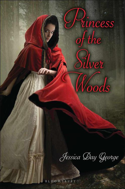 Princess of the Silver Woods (Twelve Dancing Princesses)