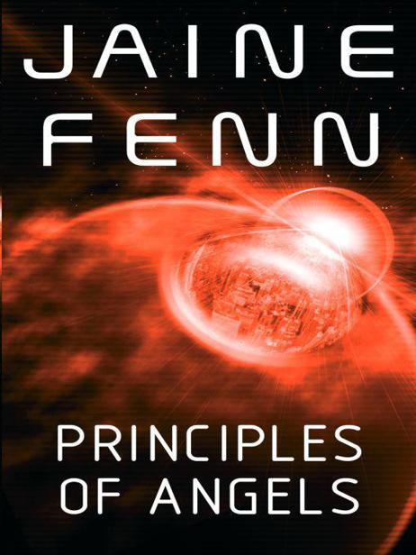 Principles of Angels by Jaine Fenn