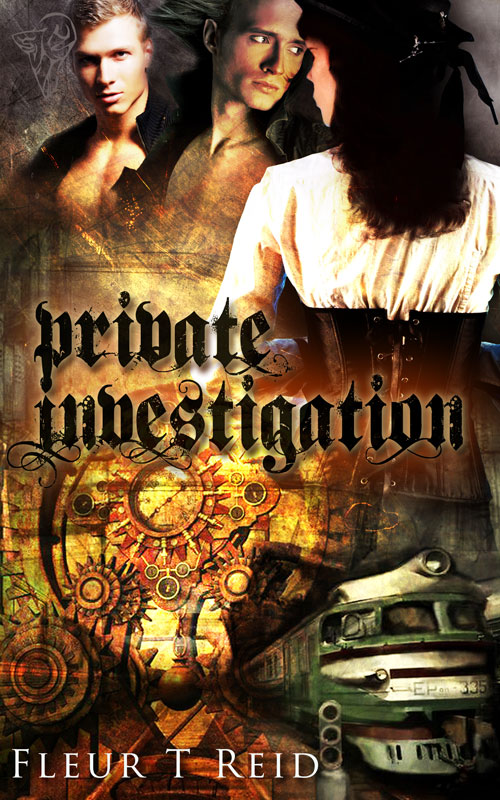 Private Investigation (2012)