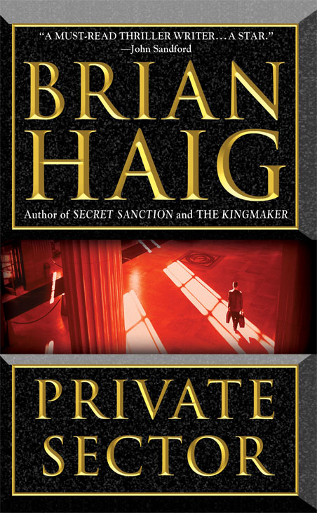 Private Sector by Haig, Brian