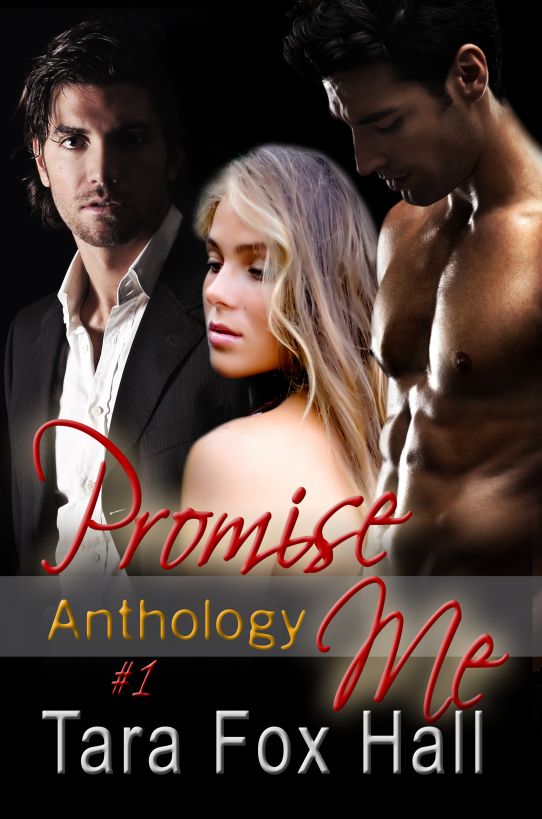 Promise Me Anthology