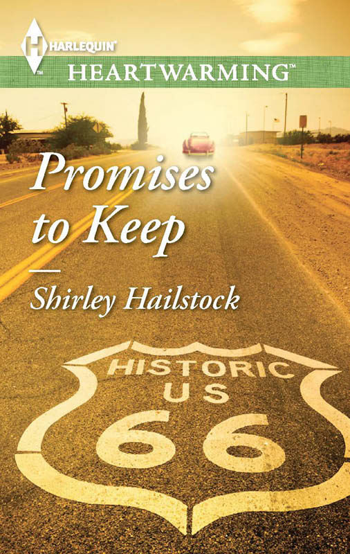 Promises to Keep (2015) by Shirley Hailstock