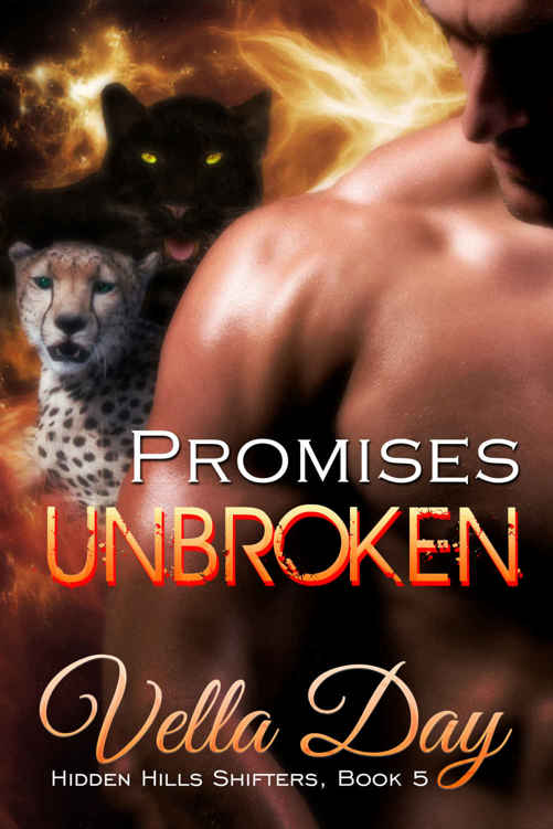 Promises Unbroken: A Hot Paranormal Shifter Romance (Hidden Hills Shifter Book 5) by Vella Day