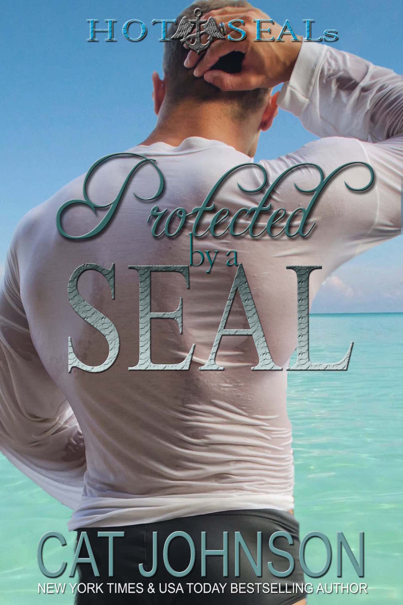 Protected by a SEAL: Hot SEALs (Volume 5)