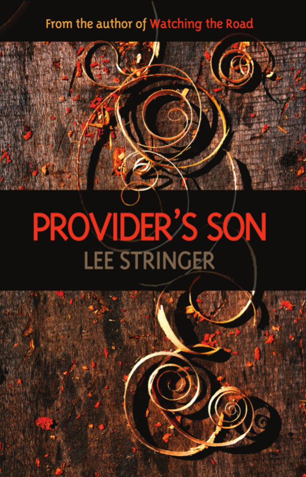 Provider's Son (2014) by Lee Stringer