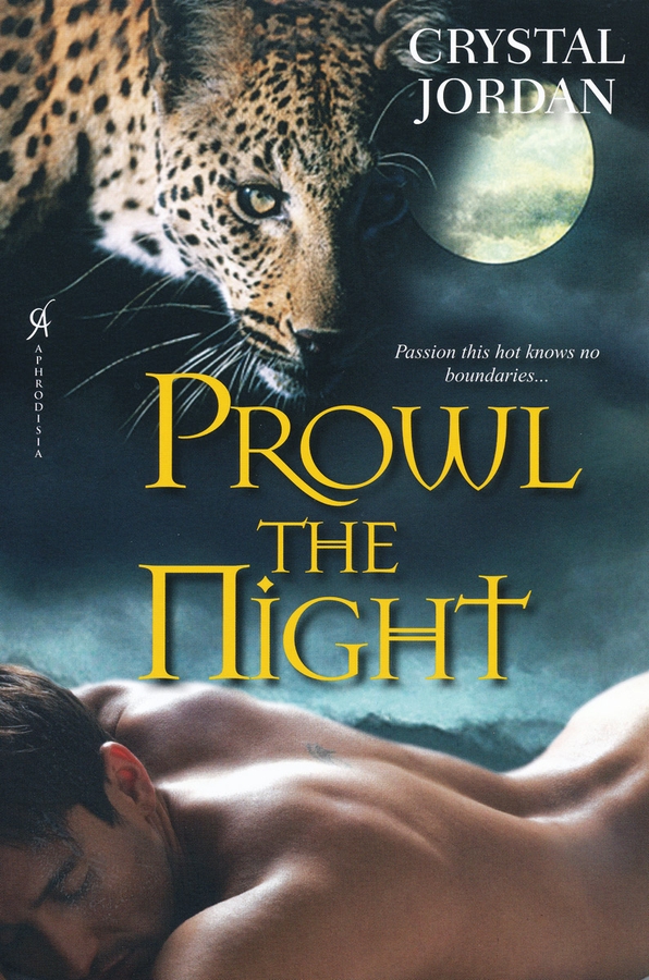 Prowl the Night (2011) by Crystal Jordan