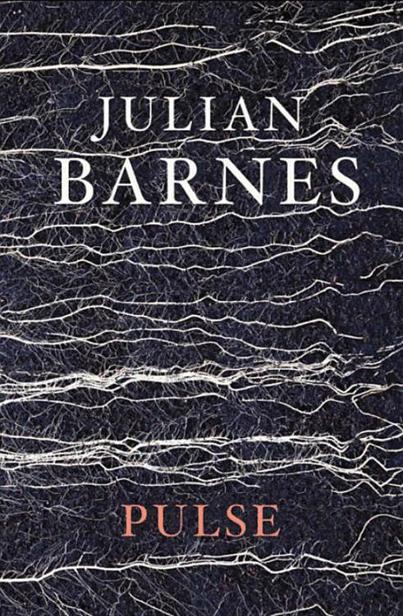 Pulse by Julian Barnes