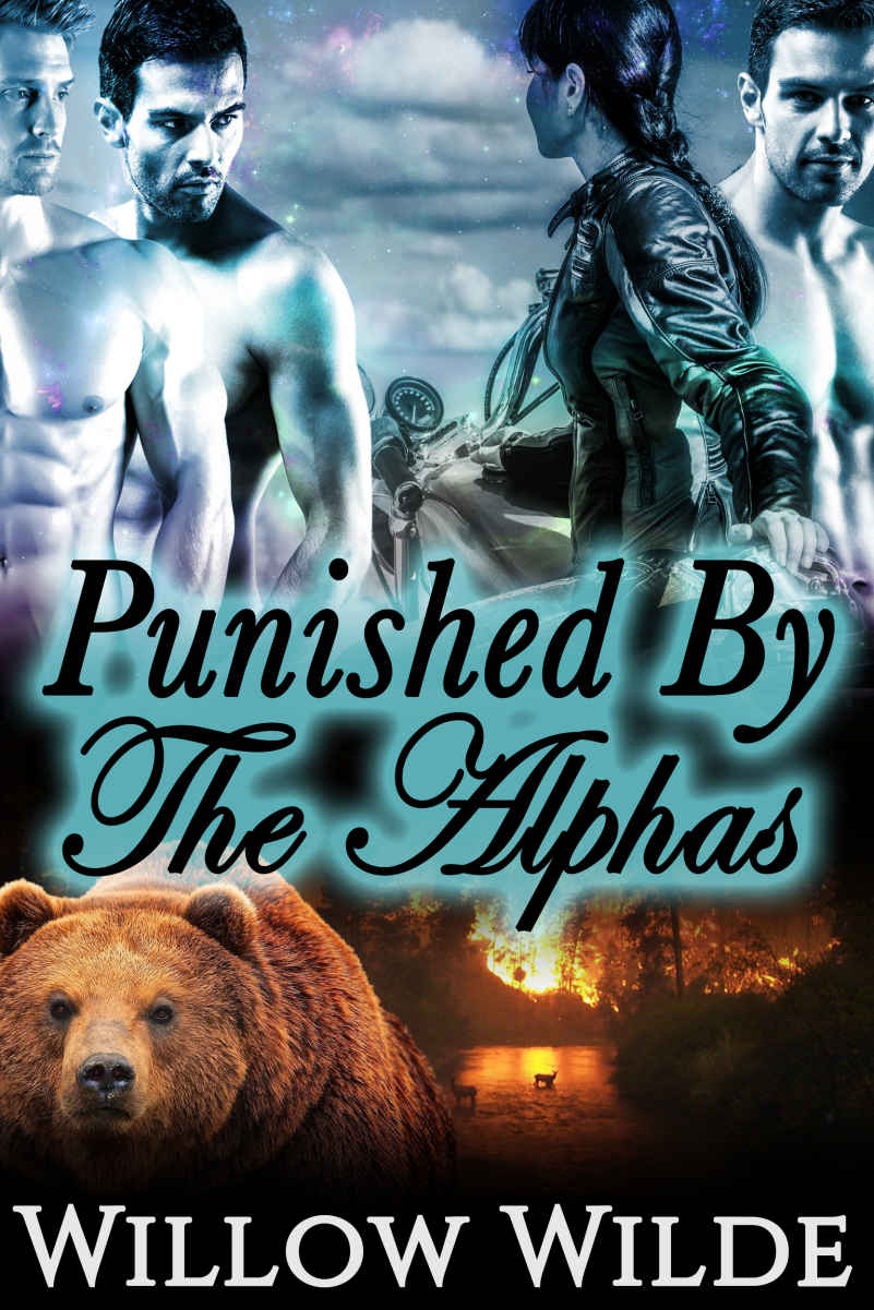 Punished By The Alphas (Steamy Werebear Shifter FMMMM Menage Romance) by Willow Wilde