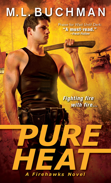 Pure Heat (2014) by M. L. Buchman