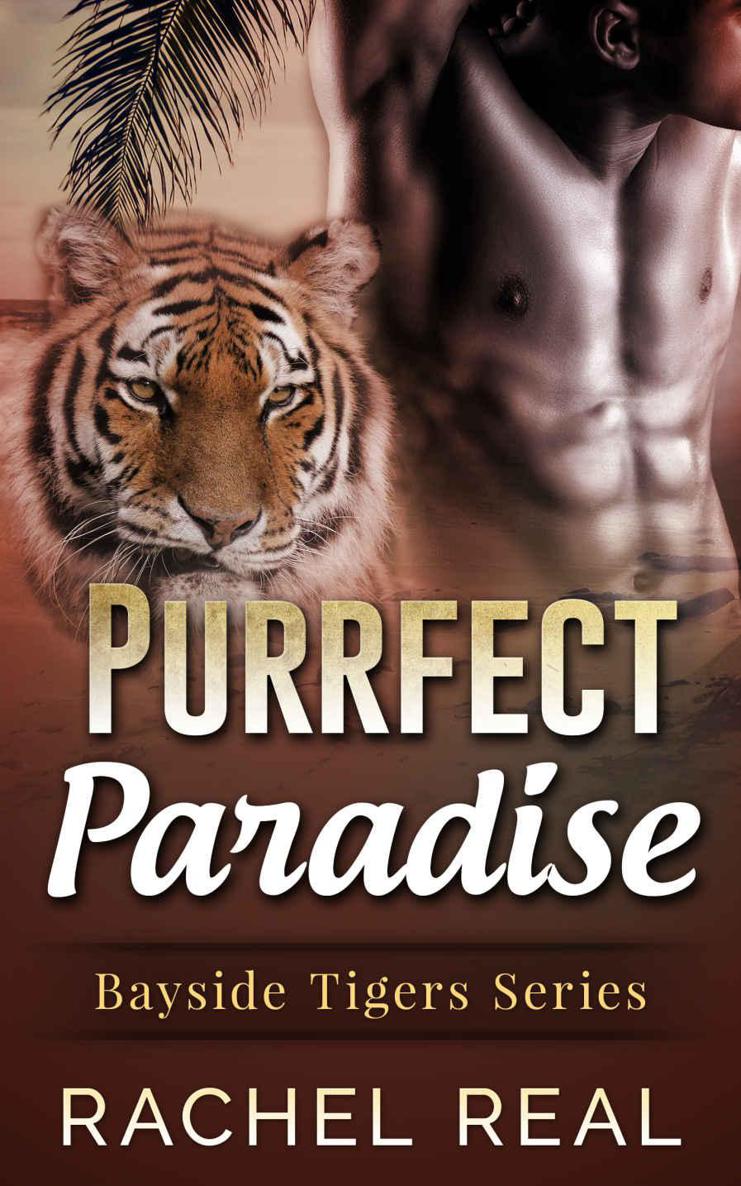 Purrfect Paradise (Bayside Tigers #4) by Rachel Real