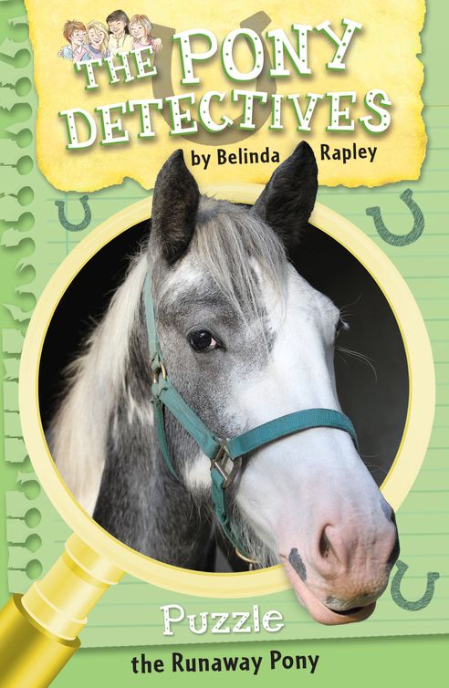 Puzzle: The Runaway Pony (2012) by Belinda Rapley