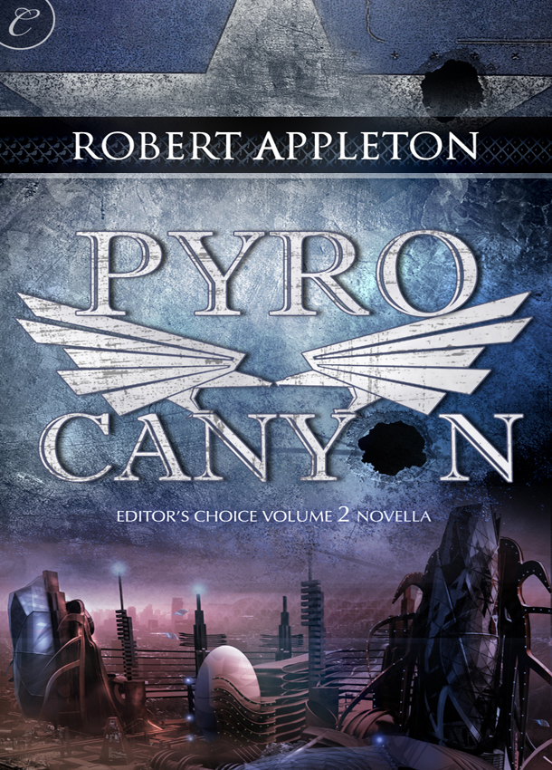 Pyro Canyon (2012) by Robert Appleton