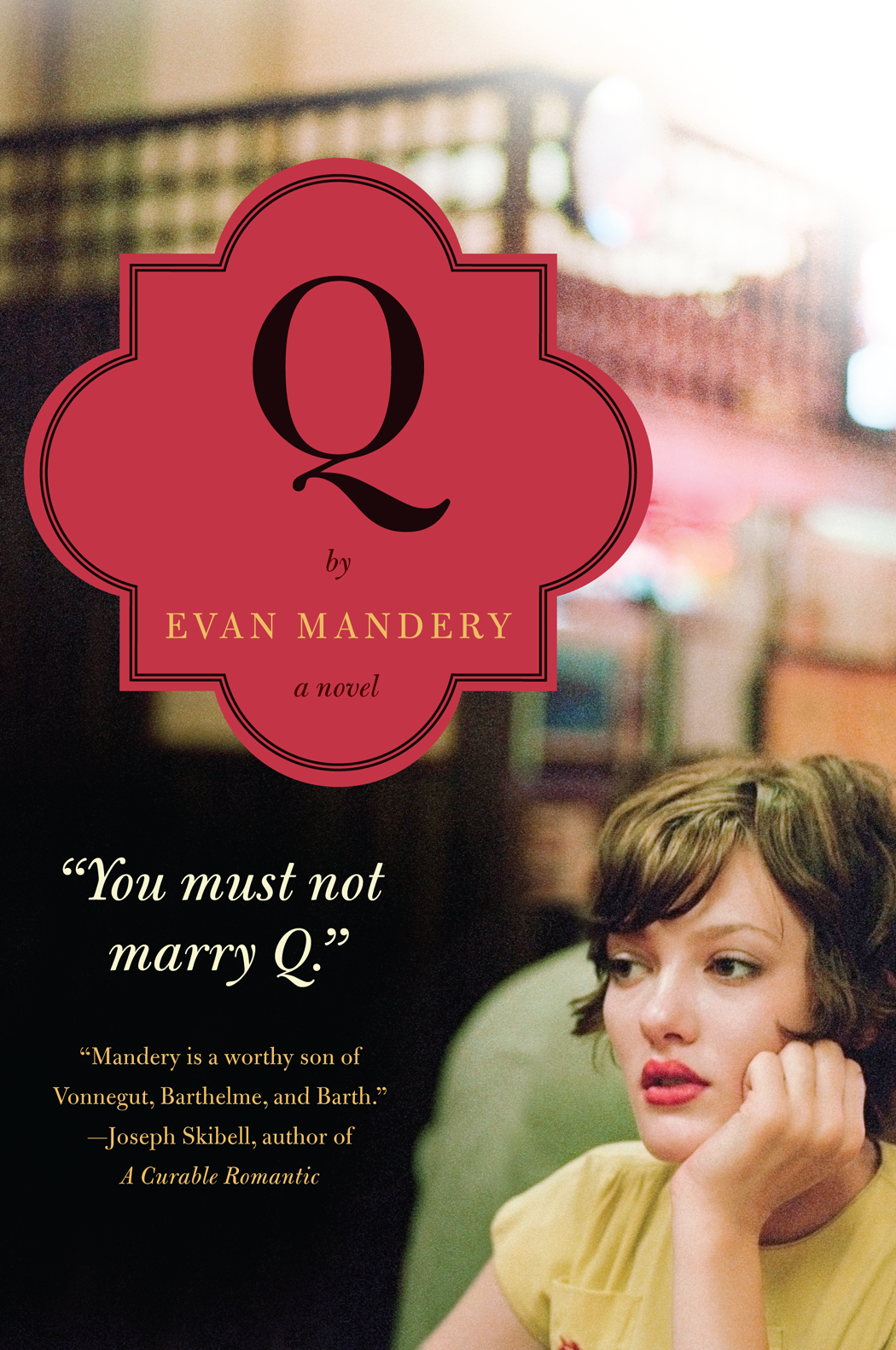 Q: A Novel by Evan Mandery