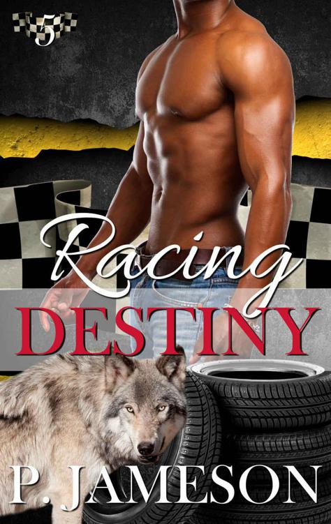 Racing Destiny (Dirt Track Dogs Book 5) by P. Jameson