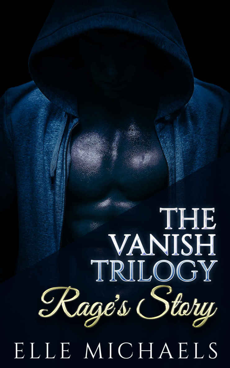 Rage's Story (Vanish Book 1) by Elle Michaels