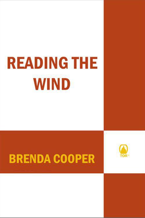 Reading the Wind (Silver Ship)