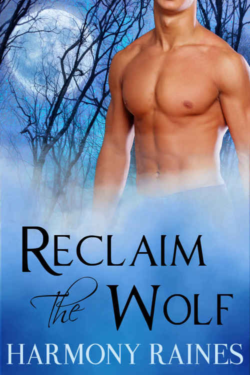 Reclaim the Wolf: BBW Paranormal Shape Shifter Romance (Wolf Valley Raiders Book 3) by Harmony Raines