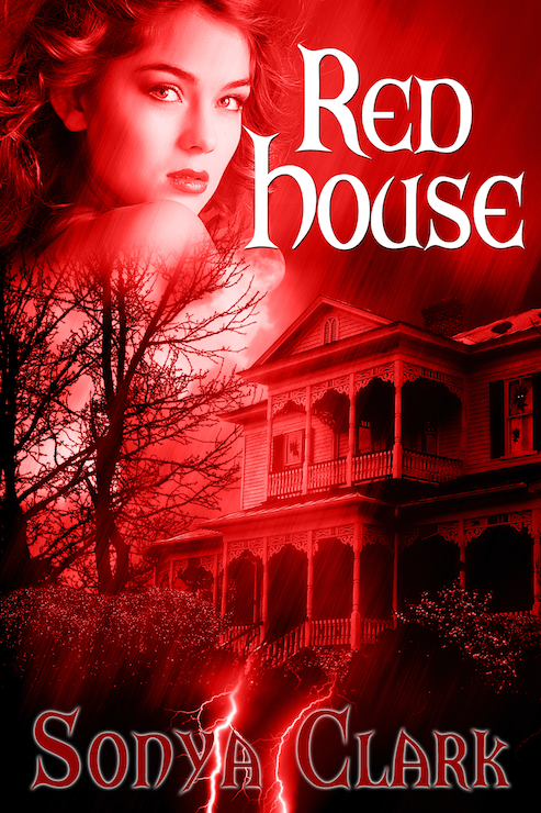 Red House (2012) by Sonya Clark