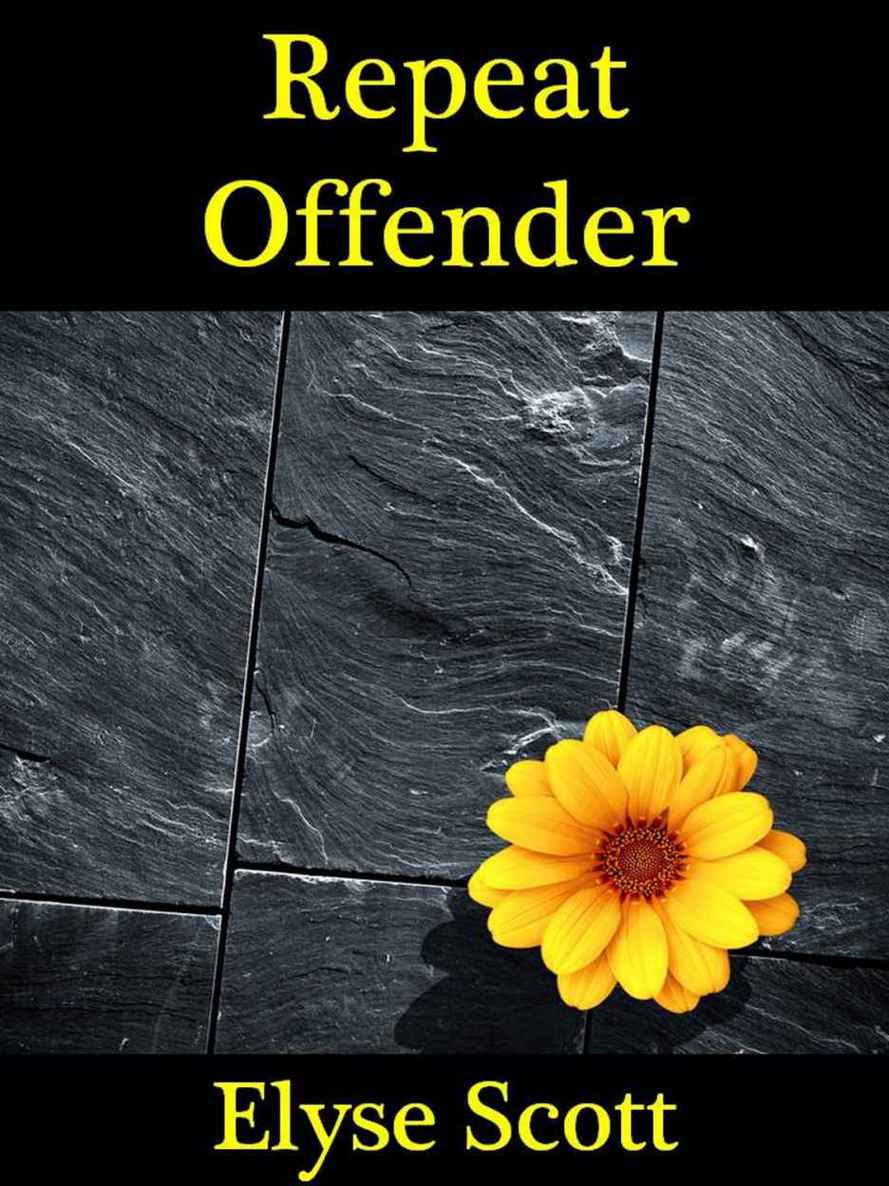 Repeat Offender (Hideaway) by Scott, Elyse