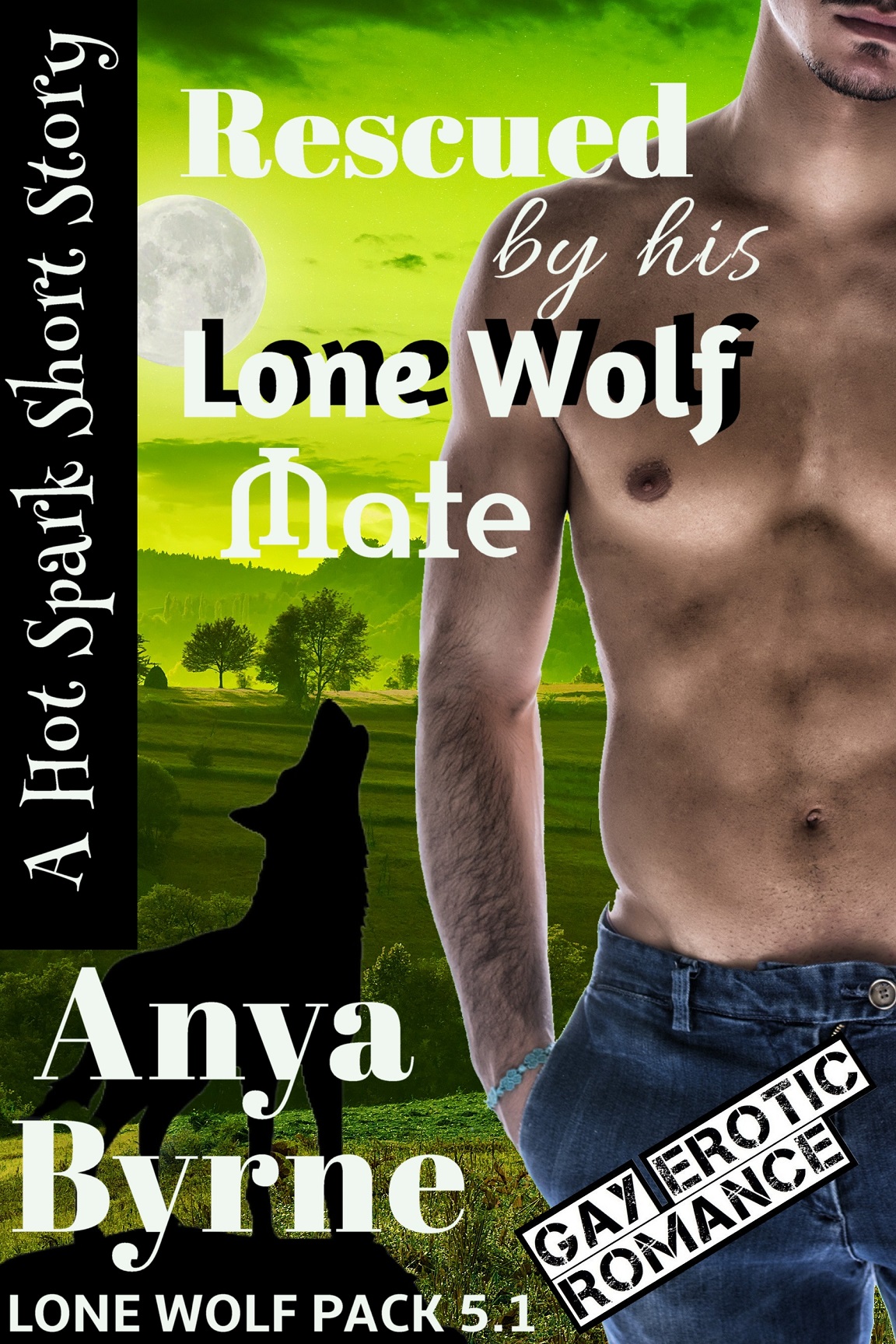 Rescued by His Lone Wolf Mate by Anya Byrne