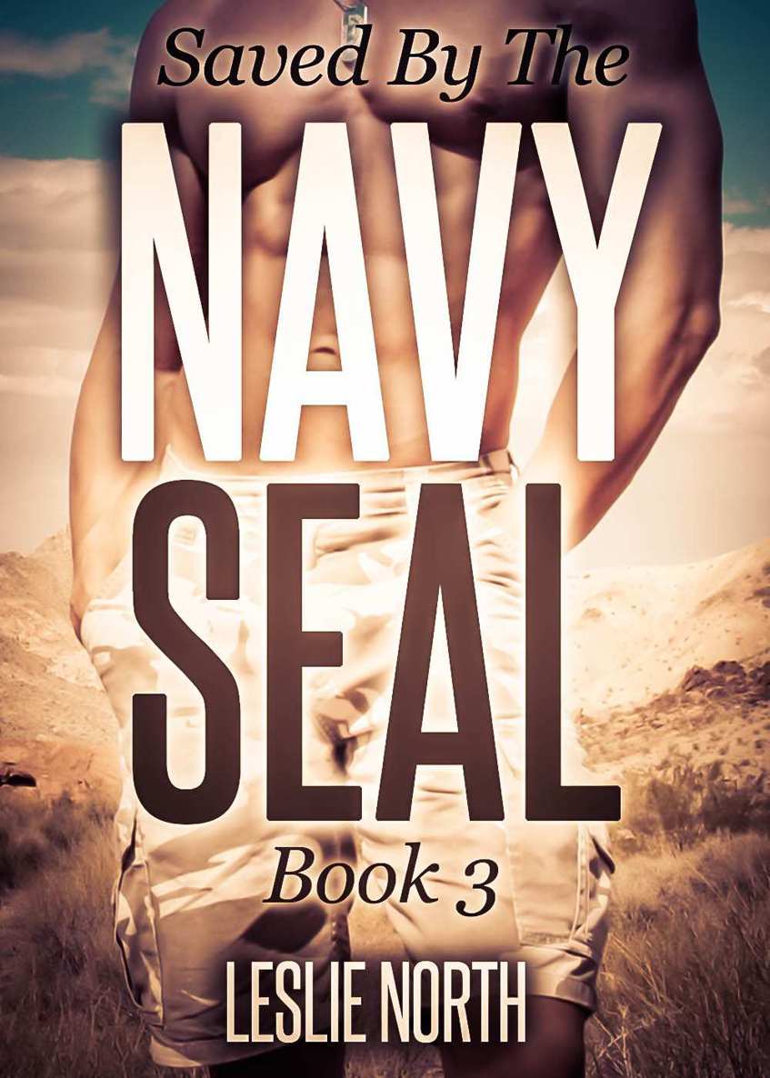 Rescued by the Navy Seal