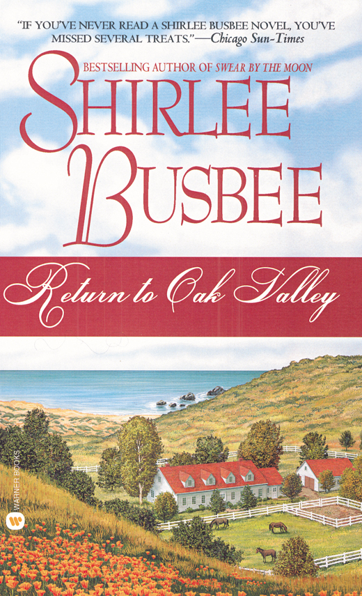 Return to Oak Valley (2008) by Shirlee Busbee
