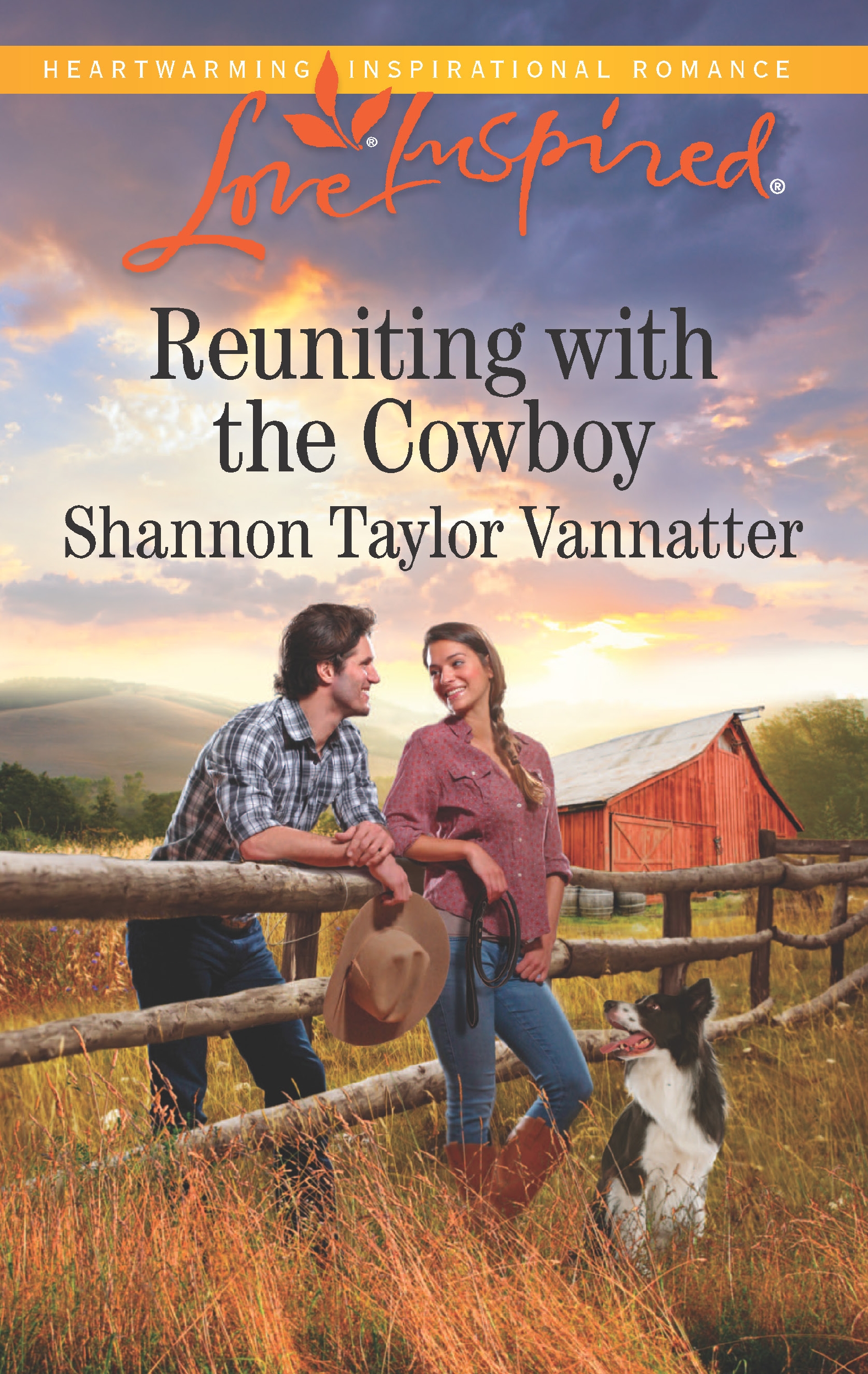 Reuniting with the Cowboy (2016)