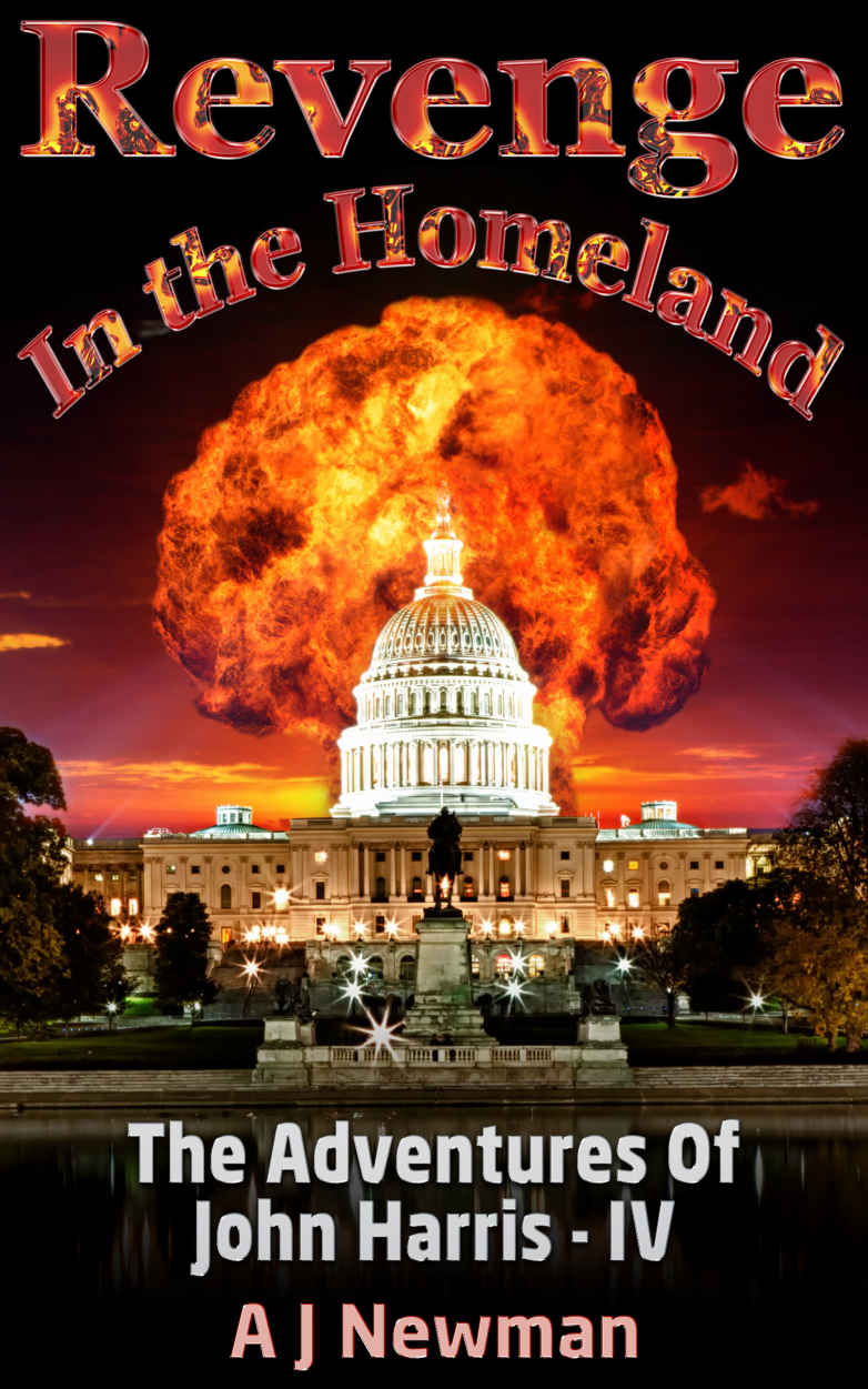 Revenge in the Homeland by A. J. Newman