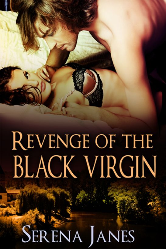 Revenge of the Black Virgin by Serena Janes