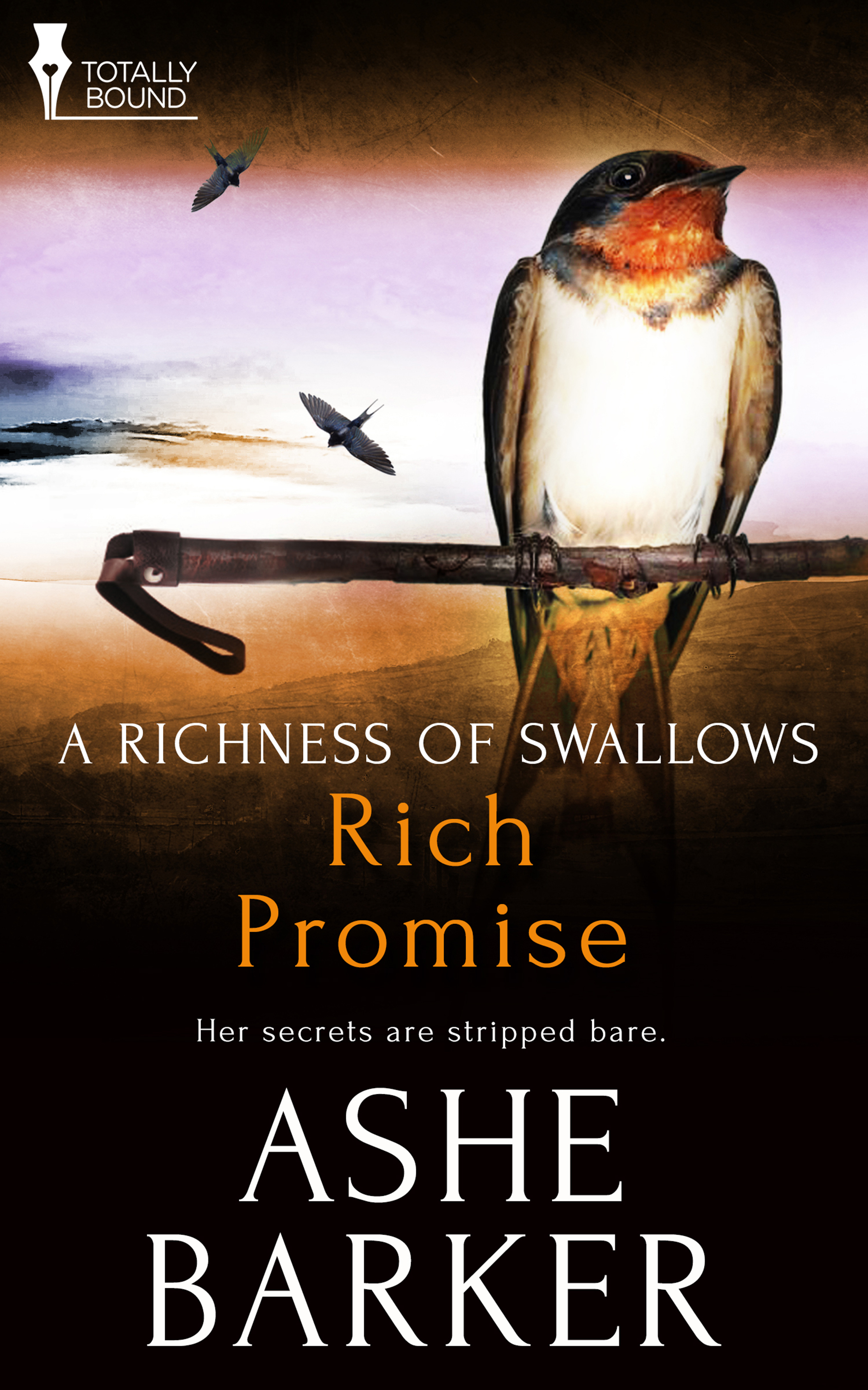 Rich Promise (2014) by Ashe Barker