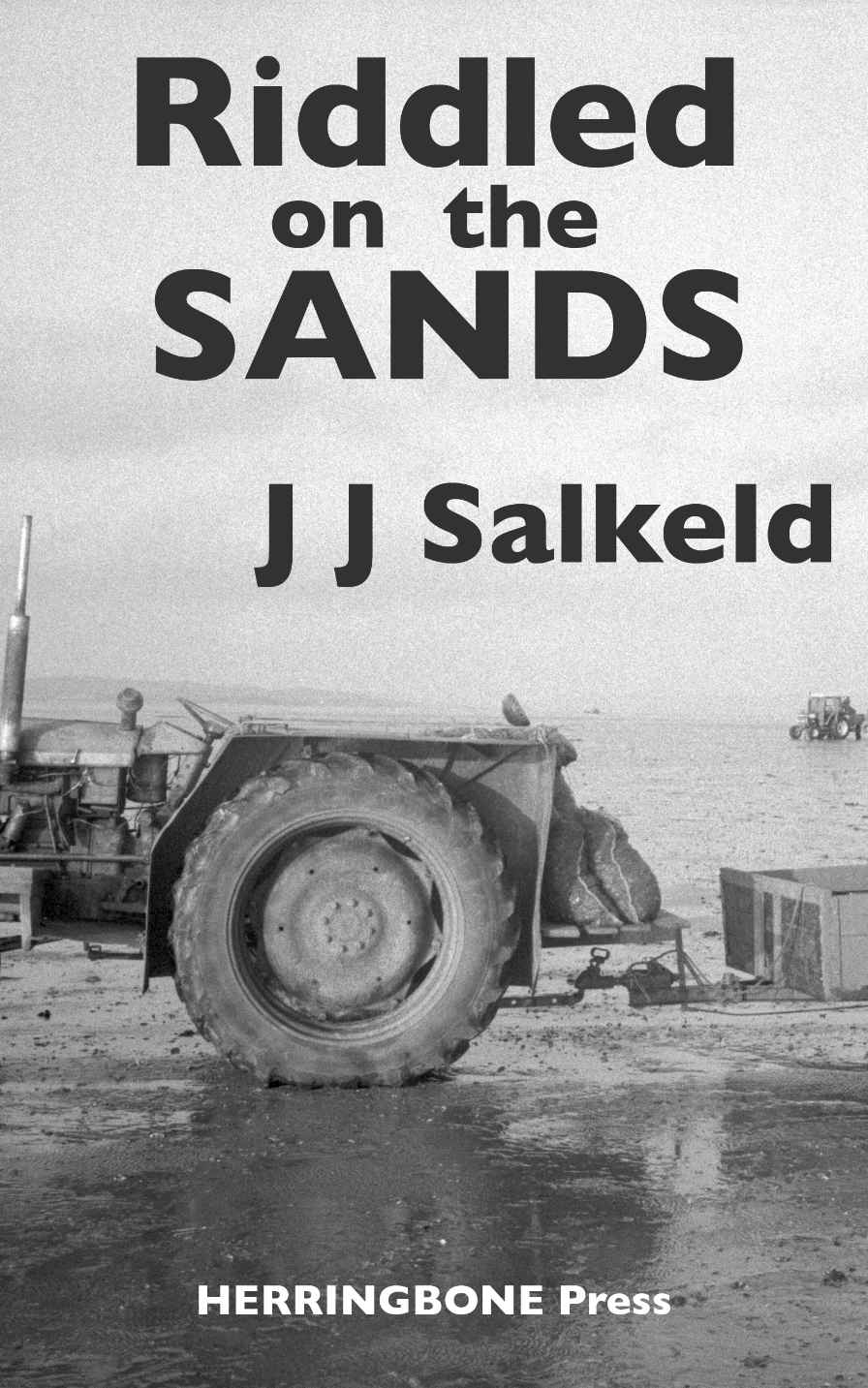 Riddled on the Sands (The Lakeland Murders) by Salkeld, J J