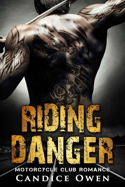 Riding Danger by Candice Owen