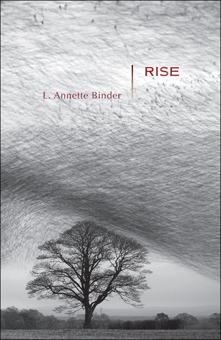 Rise by L.  Annette Binder