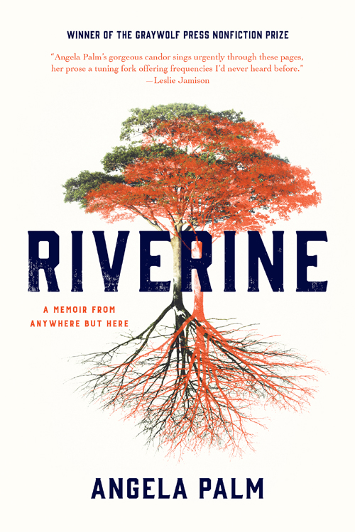 Riverine (2016) by Angela Palm