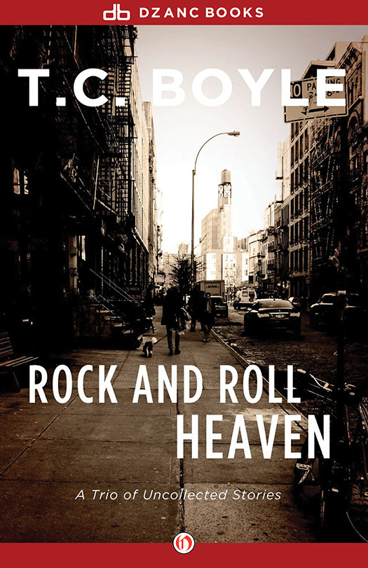 Rock and Roll Heaven (1976) by T. C. Boyle