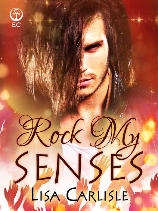 RockMySenses (2014)