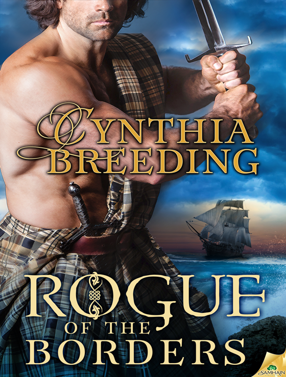 Rogue of the Borders (2014) by Cynthia Breeding