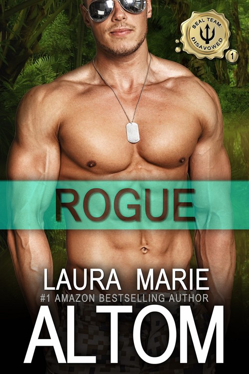 Rogue (SEAL Team: Disavowed Book 1)