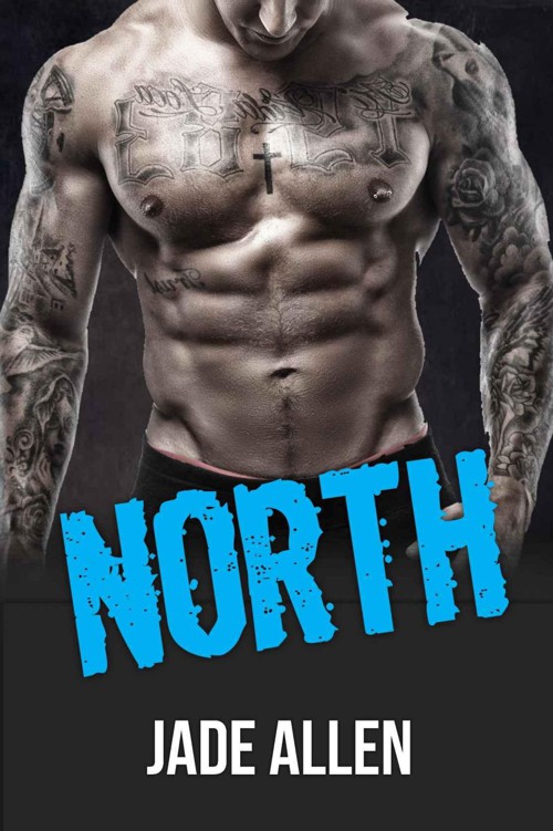 Romance: North: (Hot New Adult Bad Boy Romance, Alpha Male Rock Star Rebel Romance) (Contemporary Mystery and Romantic Suspense Short Stories) by Allen, Jade