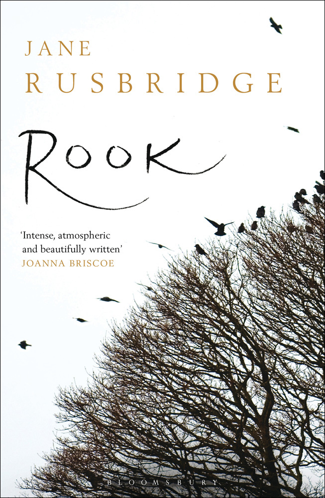 Rook (2013) by Jane Rusbridge